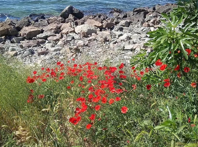 Apartment Nessebar, South Beach, Larisa,